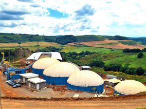 Usina transforma dejetos suínos em combustível e abre nova frente de renda no campo