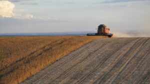 Agro não é gasto, é investimento estratégico no Brasil