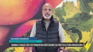 Exportações brasileiras de frutas crescem 25% no primeiro semestre de 2026