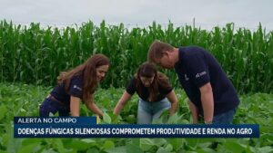 Doenças fúngicas silenciosas afetam produtividade no agro