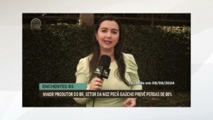 Enchentes de 2024 causaram perdas significativas na produção de noz-pecã no Rio Grande do Sul