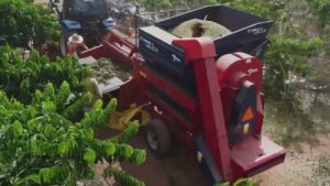 Abertura do mercado cubano para frutas brasileiras avança com missão técnica