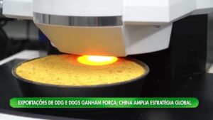 Exportações de DDG e DDGS brasileiros crescem com China
