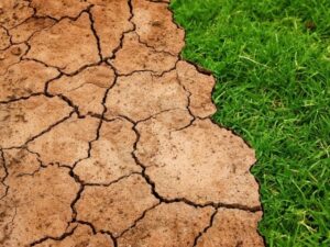 El Niño deve durar pelo menos 9 meses e afetar todo o ciclo da soja 26/27