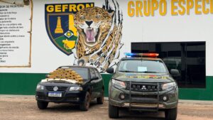 Gefron apreende 28 kg de drogas e gera prejuízo de R$ 541 mil ao crime organizado