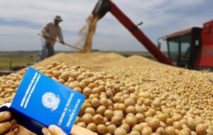 Agro dobra empregos em 20 anos e sustenta mais de 50% da economia