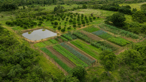 BNDES libera R$ 150 milhões do Sertão Vivo para agricultores da Paraíba
