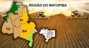Regularidade no uso do solo avança e supera média nacional no Matopiba