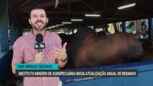 Instituto Mineiro de Agropecuária inicia atualização anual de rebanho