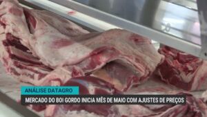 Mercado do boi gordo inicia maio com ajustes e demanda aquecida