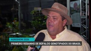 Brasil apresenta primeiro rebanho de búfalos genotipados na Agrishow