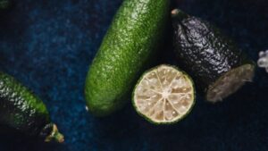 SP registra primeira variedade brasileira do limão caviar, fruta que pode atingir R$ 1,2 mil o quilo