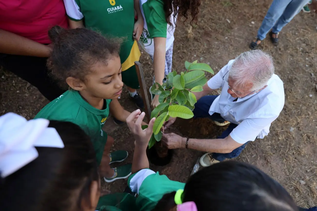 Foto horizontal que mostra um grupo de crianças e um idoso vistos de cima, plantando uma muda de goiaba no chão. As crianças usam uniforme escolar verde e branco.