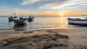 Pesca de tainha por arrasto de praia é suspensa após limite da cota ser atingido