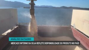 Mercado brasileiro de soja e milho apresenta comportamento misto