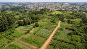 Desapropriação da Fazenda Itahyê será anunciada para reforma agrária em São Paulo