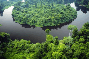 MPF tenta anular acordo que transfere terras públicas de parque estadual a particulares em MT