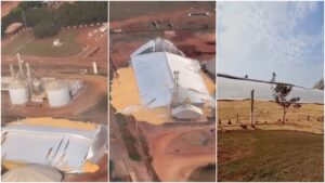 Armazém de cooperativa se rompe e espalha mais de 30 toneladas de milho