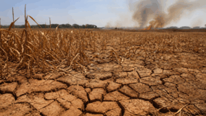 El Niño pode intensificar ondas de calor, secas e incêndios no Brasil