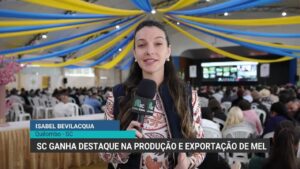 Santa Catarina se destaca na produção e exportação de mel em 2026