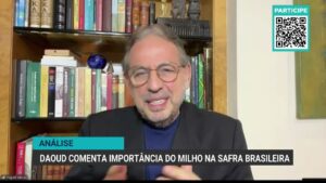 Desafios e avanços da produção de milho no Brasil em 2023