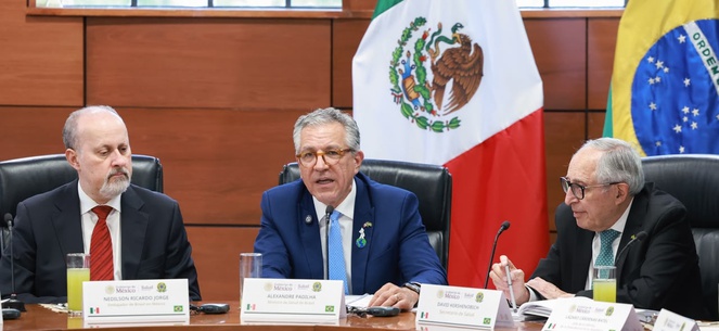 ministro Comitiva brasileira no México.jpg