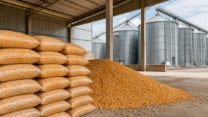 Portaria amplia para 260 mil toneladas compra de milho para o ProVB