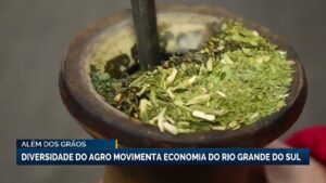 Rio Grande do Sul se destaca como potência no agronegócio brasileiro
