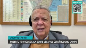 Desafios enfrentados por produtores devido a chuvas e El Niño nesta safra