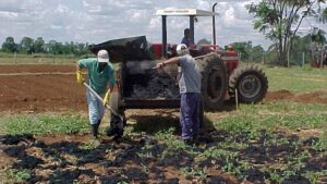 Pesquisa da Embrapa e Sabesp transforma lodo em fertilizante de liberação lenta