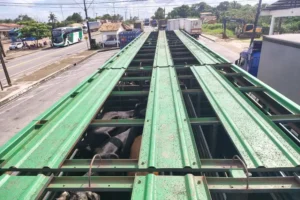 Fiscalização retém 80 bezerras e 32 toneladas de farinha de trigo avaliadas em R$ 333 mil
