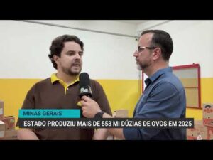 Minas Gerais registra produção de 556 milhões de dúzias de ovos em 2025