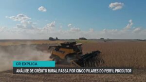 Crédito rural: cinco pilares essenciais para concessão de financiamento