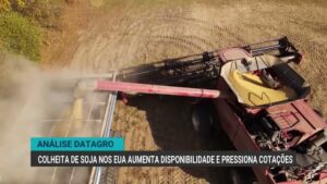 Colheita de soja nos EUA pressiona cotações internacionais em outubro